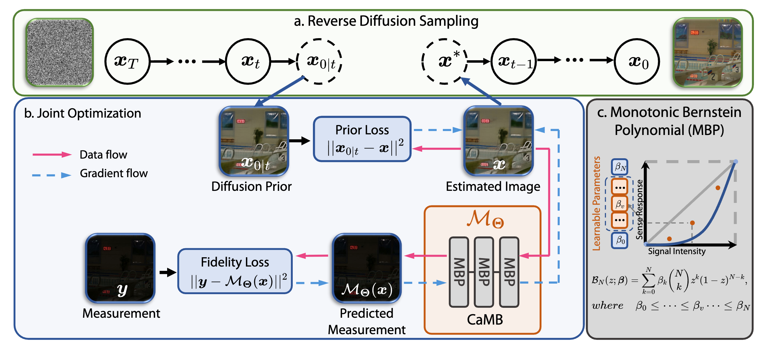 Resolving Blind Inverse Problems under Dynamic Range Compression via Structured Forward Operator Modeling
